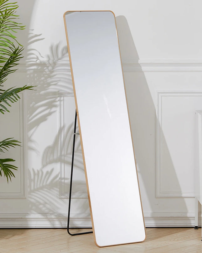 full-length-floor-mirror-rectangular-black-frame-modern-interior